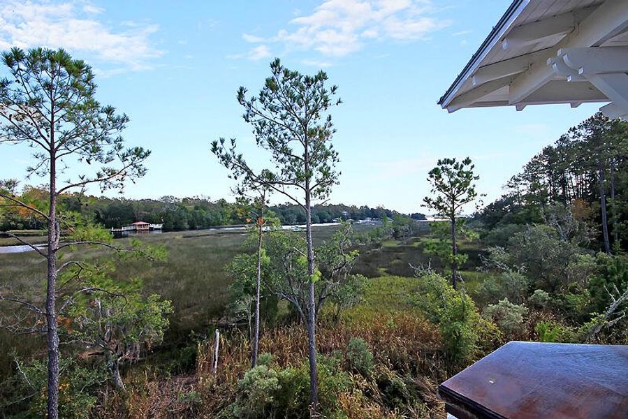 Natural landscape and outdoor views near  in Ravenel (Image 46).