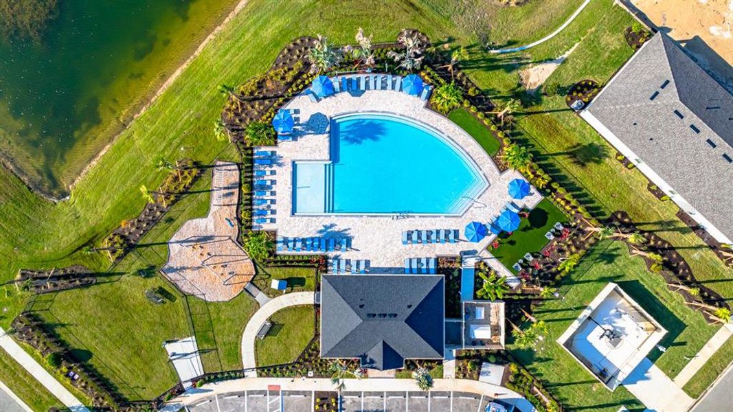 Community amenities in Indigo Creek, Apollo Beach (Image 27).