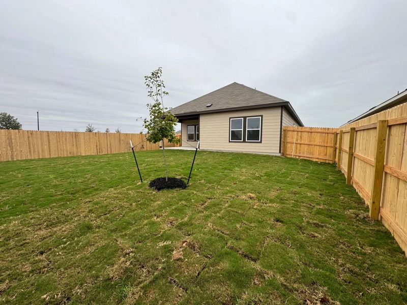 Rear Elevation Rear Elevation