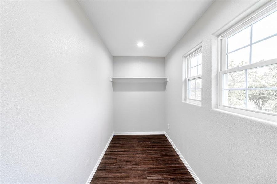 Library corner with dark wood-type flooring