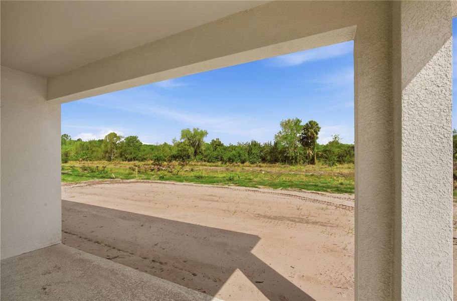 Exterior details and patio area of a home in Estates at Rivers Edge, Parrish (Image 22).