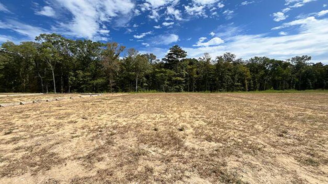 Site preparation for new homesites in Carolina Groves, Moncks Corner (Image 17).