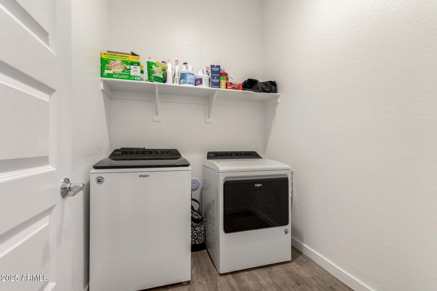 31 - McNeil 3832 31 - McNeil 3832