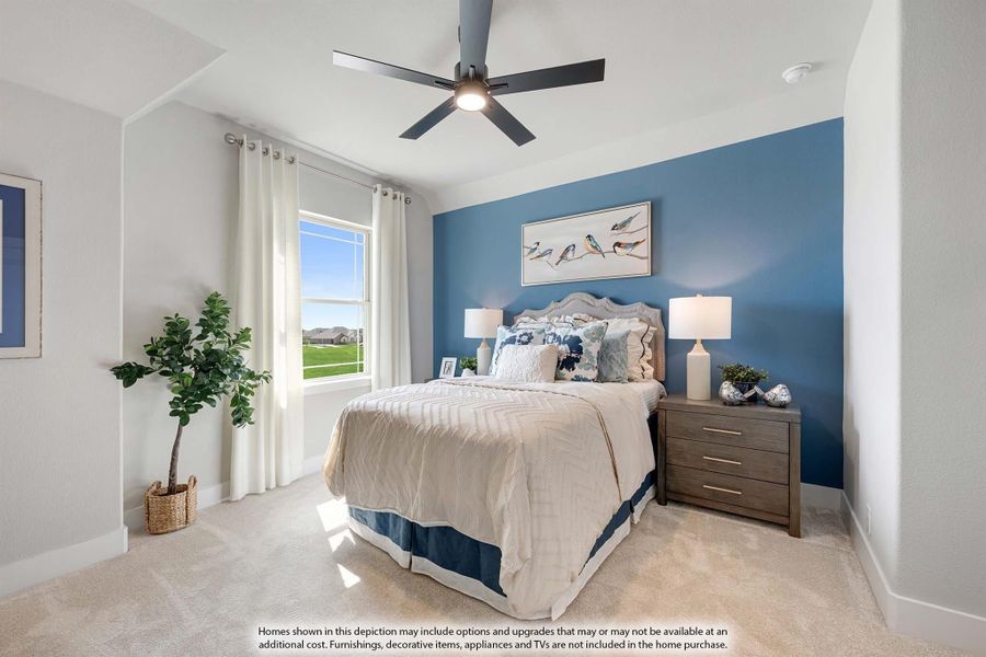 Bedroom with blue accent wall, ceiling fan, carpet flooring, and large window with natural light