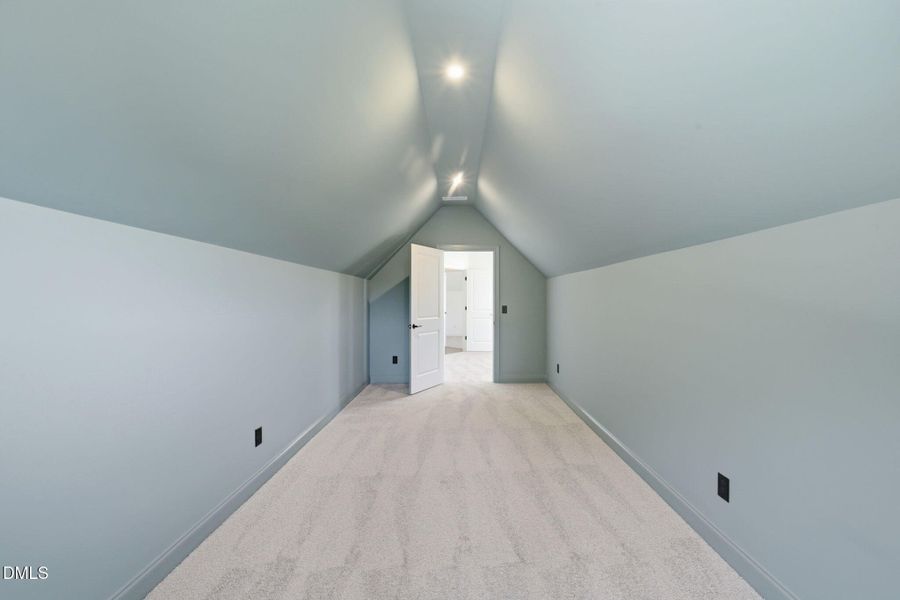 45-web-or-mls-VB4A5634