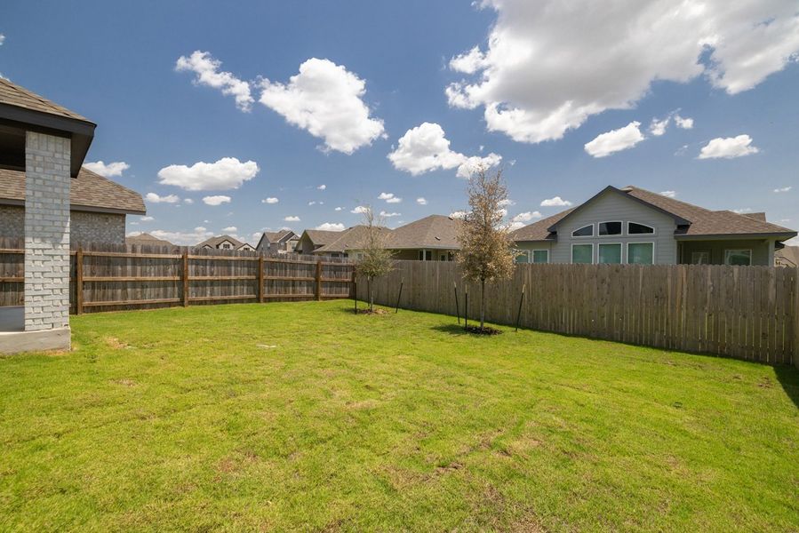 Backyard
