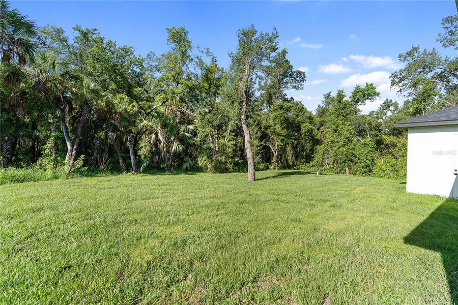 Natural landscape and outdoor views near in Port Charlotte (Image 69). Natural landscape and outdoor views near in Port Charlotte (Image 69).