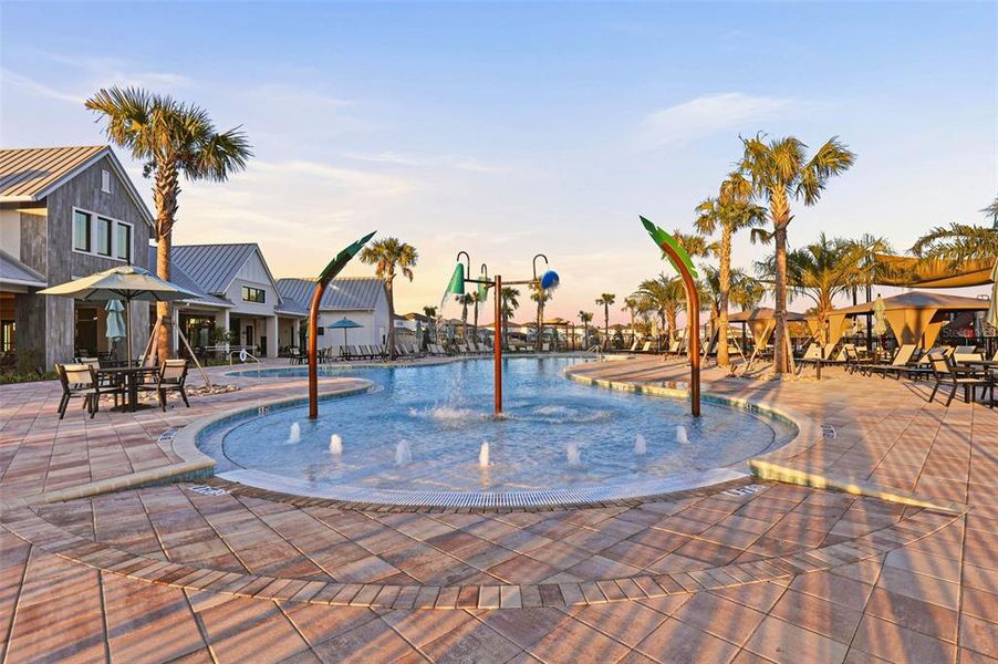 Community amenities in Vida's Way, Wesley Chapel (Image 78).