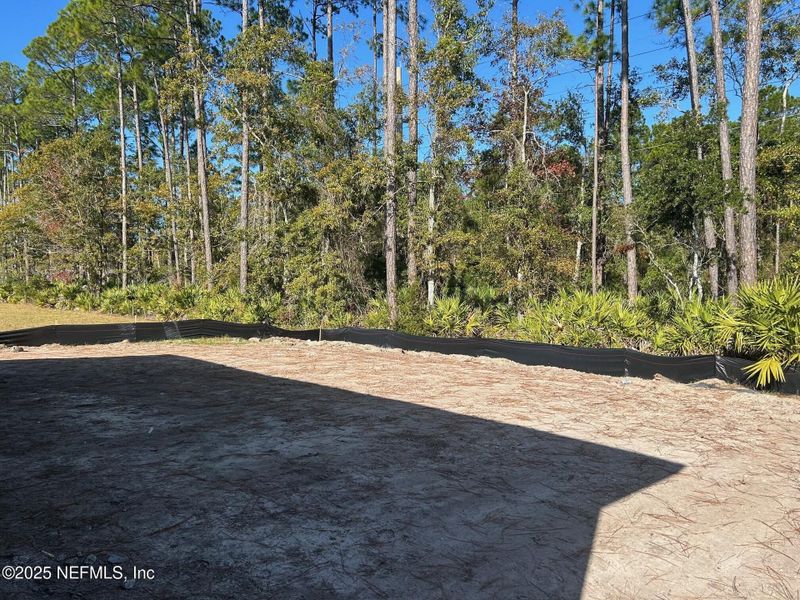 Natural landscape and outdoor views near Amelia National Country Club in Fernandina Beach (Image 47).