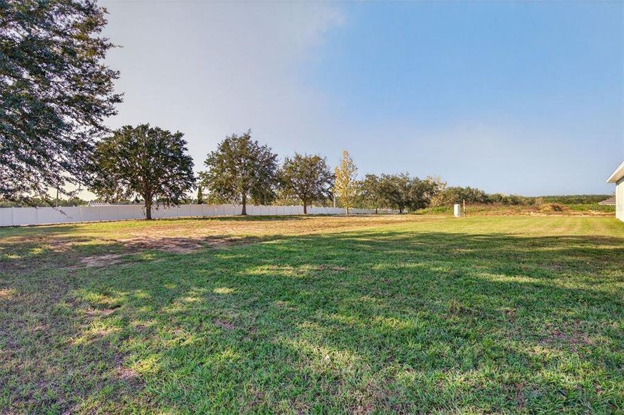 Natural landscape and outdoor views near Hill Country Estates in Dade City (Image 70).