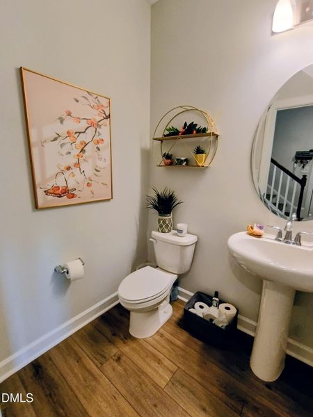 IMG_20251103_153520365_HDR~2