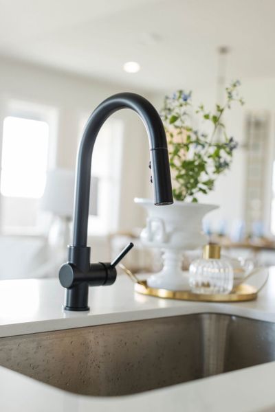 Image 63 representing the The Lydia by Reece Homes in Greenbrier, Bryan, TX. Image 63 representing the The Lydia by Reece Homes in Greenbrier, Bryan, TX.