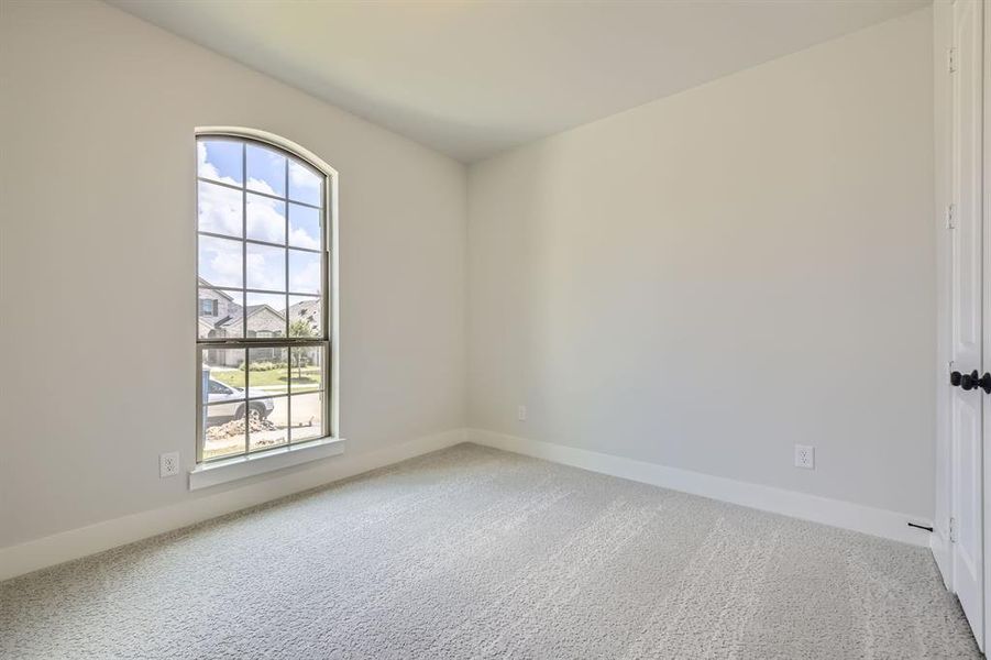 Carpeted spare room with baseboards Carpeted spare room with baseboards