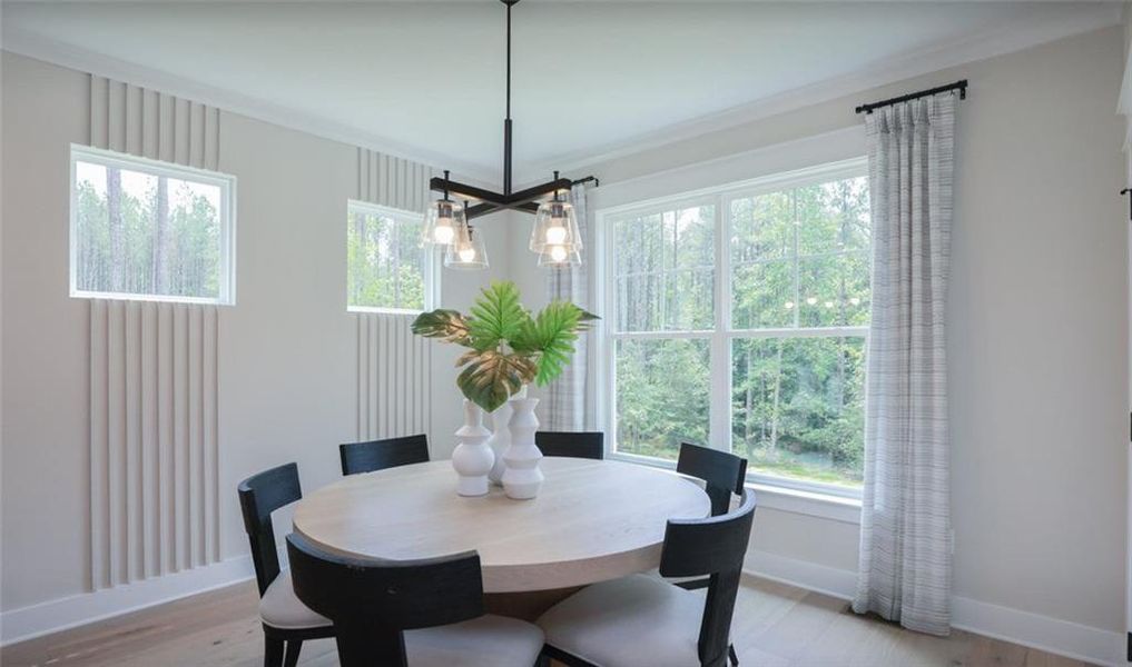 Furnished interior view inside a new home in , Pendergrass (Image 5).