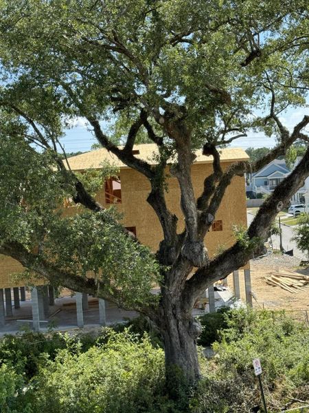 Front exterior of a new home in Oak Bluff, Charleston, SC, highlighting curb appeal (Image 11).