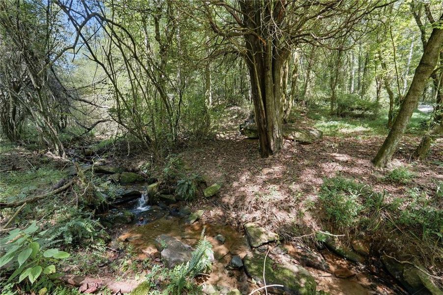 Natural landscape and outdoor views near  in Ellijay (Image 49).