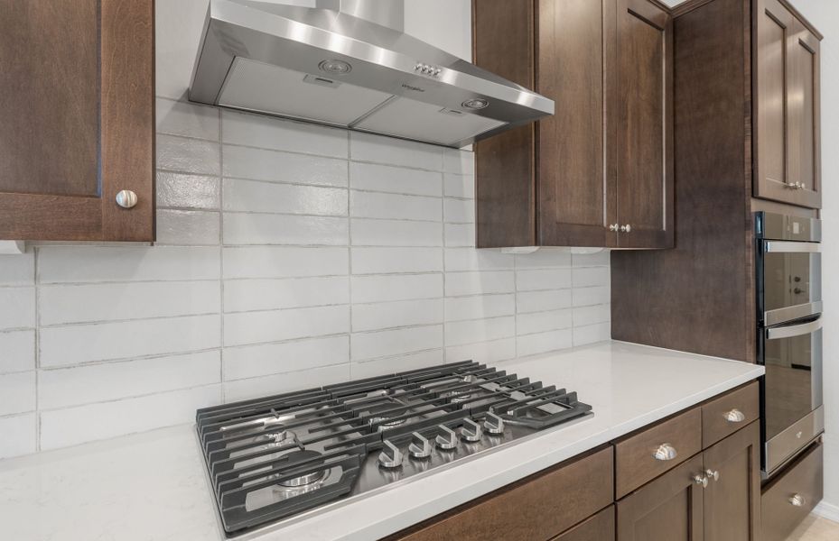 Close-up of interior finishes inside a home in Sun City Anthem at Merrill Ranch, Florence (Image 14).