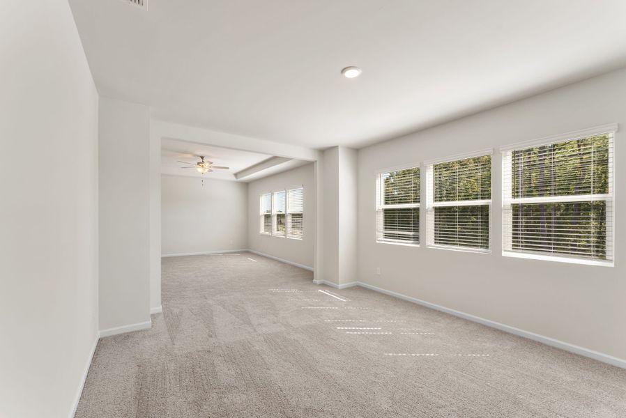 A room with a carpet and windows.