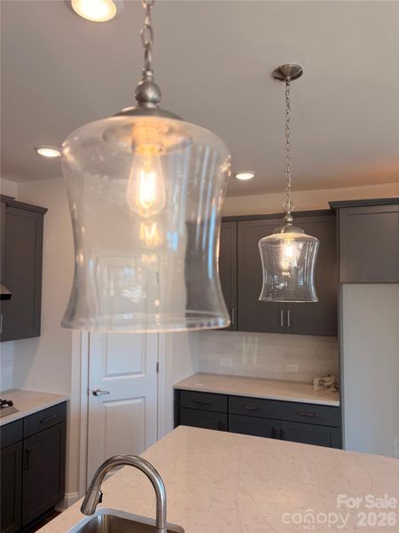 Close-up of interior finishes inside a home in Encore at Harmony, Harrisburg (Image 23).