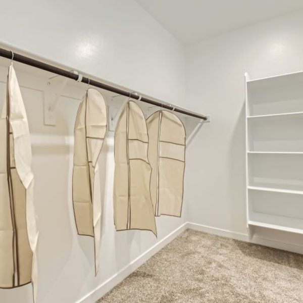 Owners walk in closet