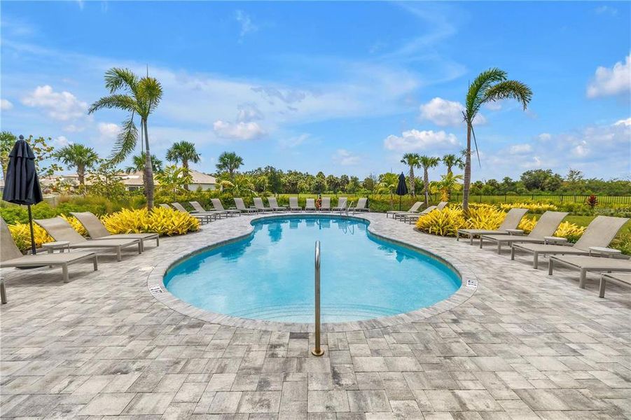 Community amenities in , Sarasota (Image 53).