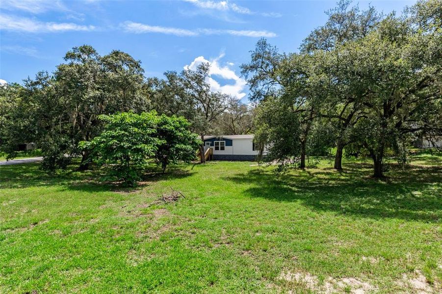 Natural landscape and outdoor views near in Spring Hill (Image 34). Natural landscape and outdoor views near in Spring Hill (Image 34).