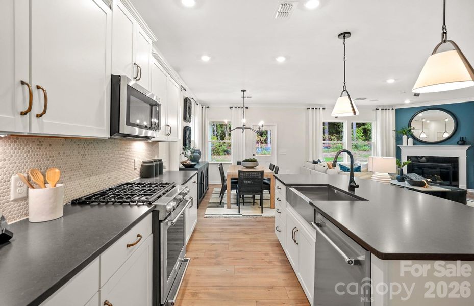 For Representation Purposes Only