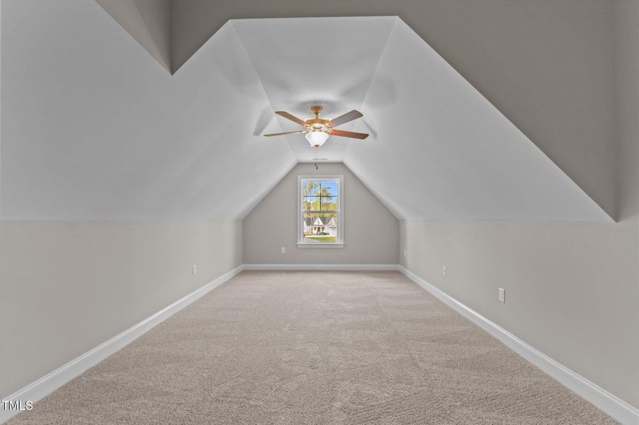 49-web-or-mls-DSC_6241