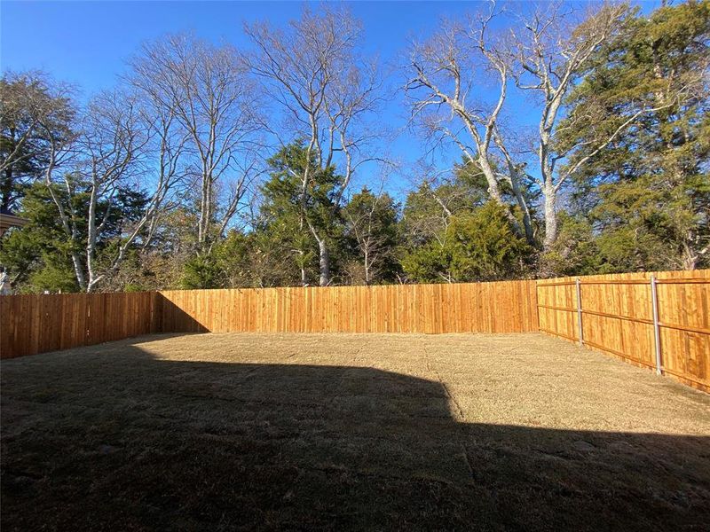 Private backyard with tree line Private backyard with tree line