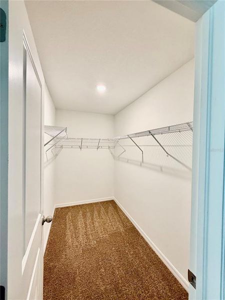 Spacious, unfurnished interior of a new home in , Nokomis (Image 38). Spacious, unfurnished interior of a new home in , Nokomis (Image 38).