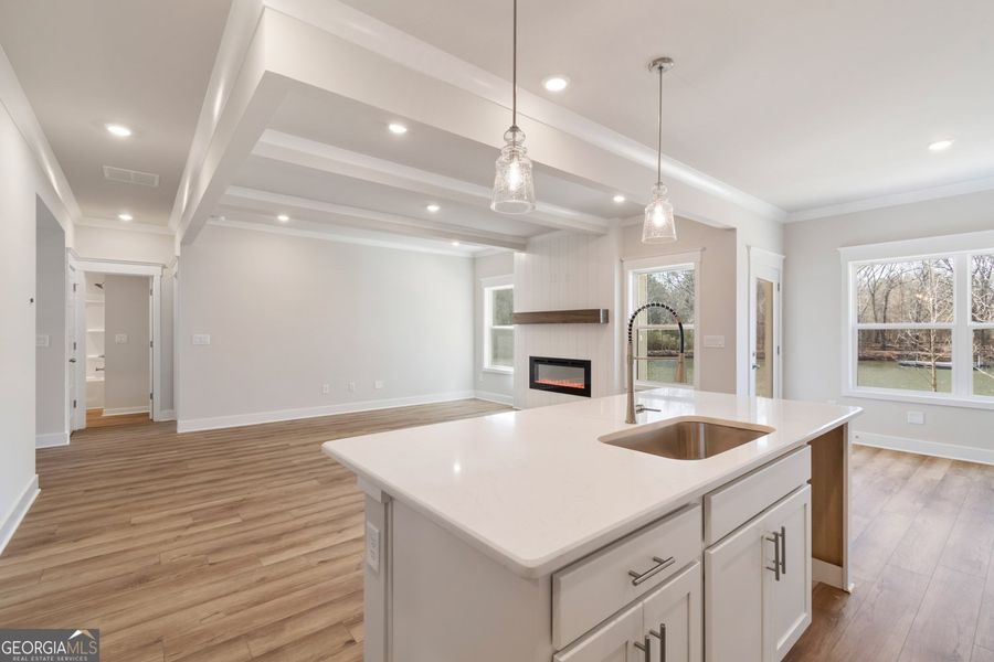 Furnished interior view inside a new home in Rosewood Lake Estates, Hoschton (Image 7).
