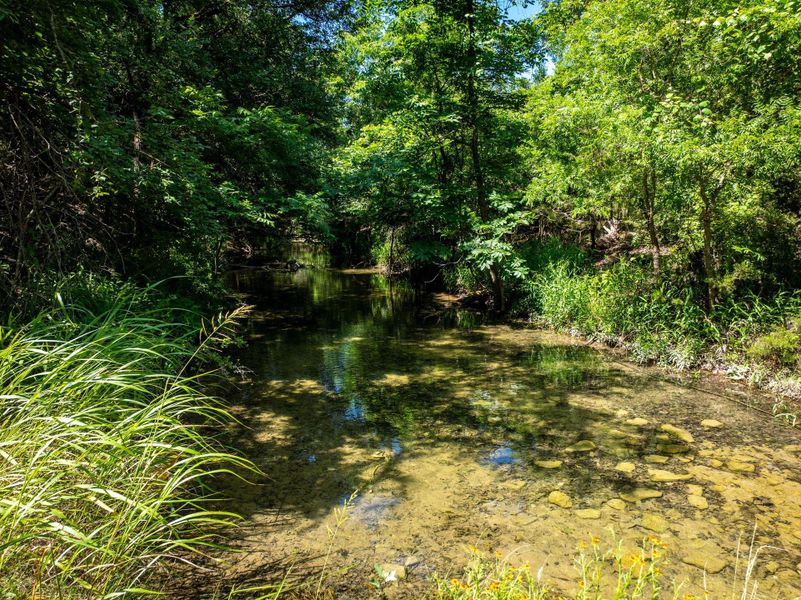 A tranquil stream meanders through a lush, verdant woodland, offering serene natural beauty.