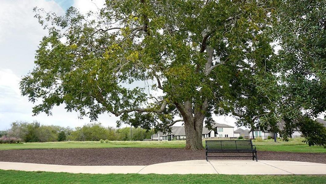 Amazing mature trees and wooded areas throughout the community preserve the natural beauty of this community.
