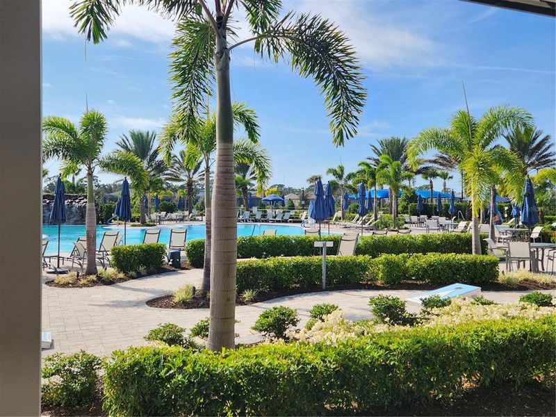 Community amenities in , Nokomis (Image 46). Community amenities in , Nokomis (Image 46).