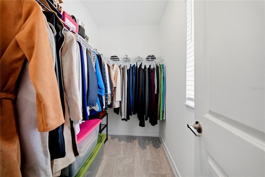 Close-up of interior finishes inside a home in Connerton, Land O' Lakes (Image 20).