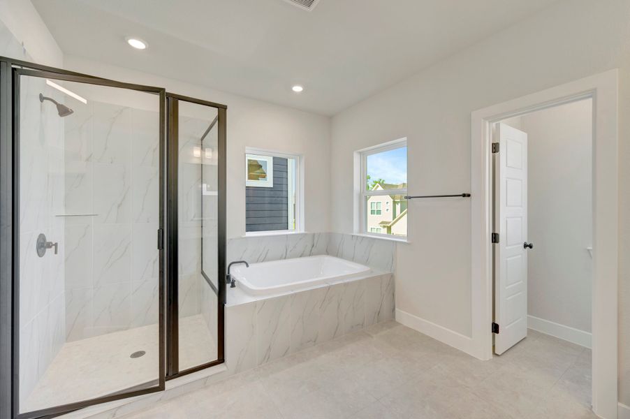 Owner's Bath
