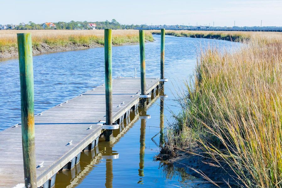 Natural landscape and outdoor views near  in Johns Island (Image 64).