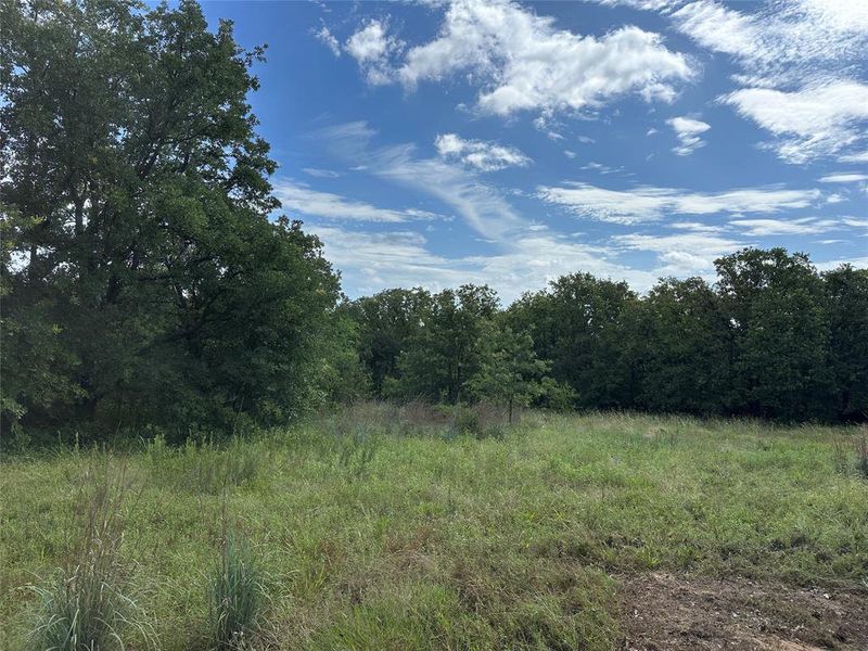 Expansive parcel featuring mature trees, open grassy areas, and a naturally vegetated perimeter Expansive parcel featuring mature trees, open grassy areas, and a naturally vegetated perimeter