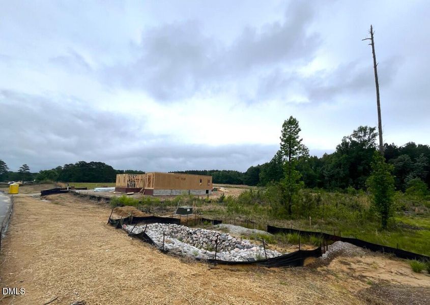 Photo Apr 26 2026, 1 38 42 PM (Medium)