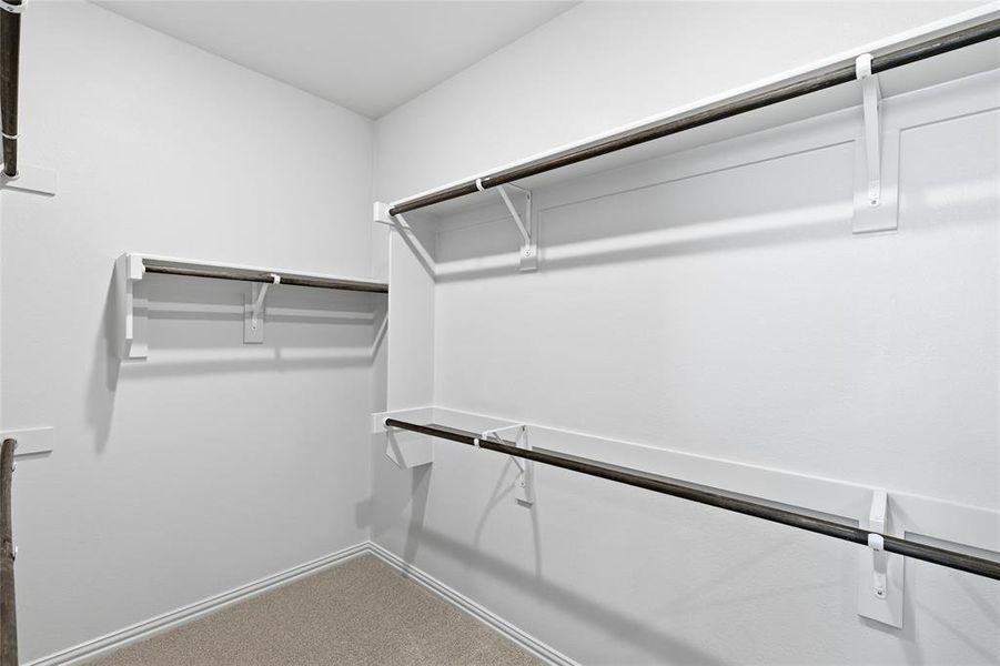 Walk in closet featuring carpet