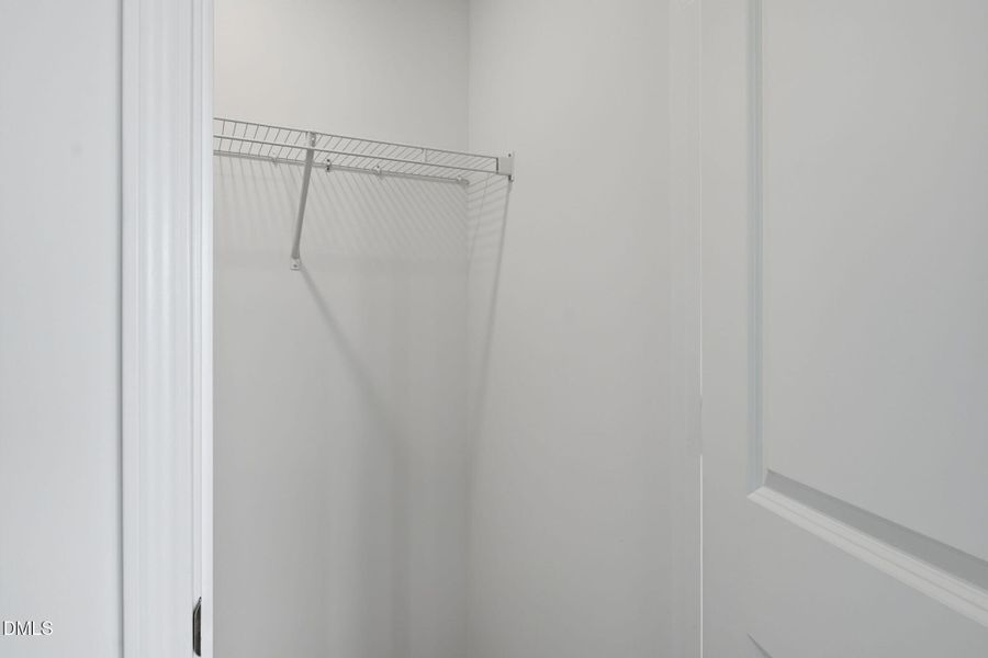 SUN_Marelli_Pic_Sutton-31