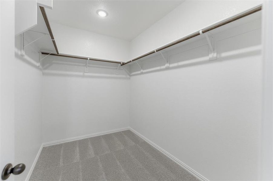 Walk-in closet featuring light gray carpet, white baseboards, and built-in shelving with hanging rods