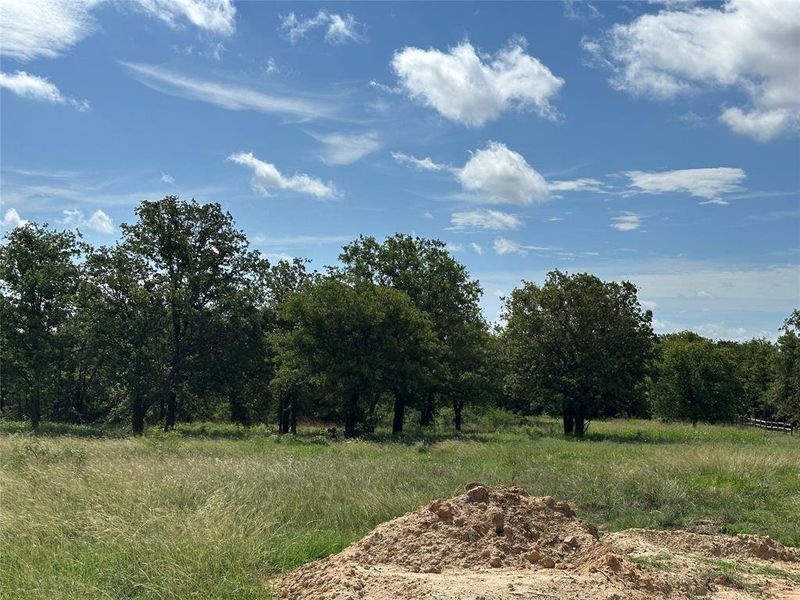 Expansive undeveloped land featuring mature trees and natural grasses Expansive undeveloped land featuring mature trees and natural grasses