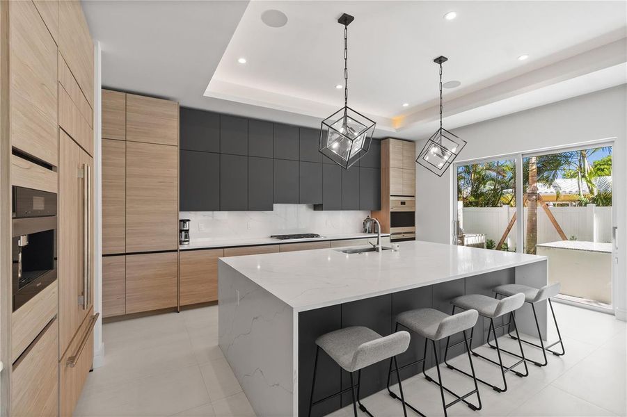 Designer Kitchen Designer Kitchen