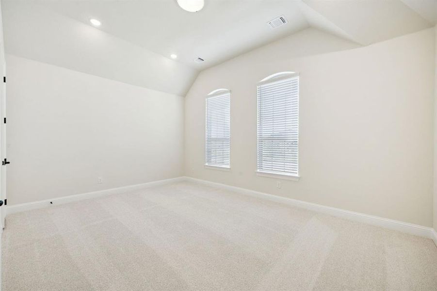 11-1016Sunflower_011 11-1016Sunflower_011