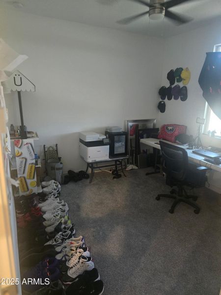 1000026031 1000026031