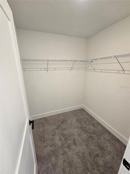 Spacious, unfurnished interior of a new home in , Inverness (Image 8).