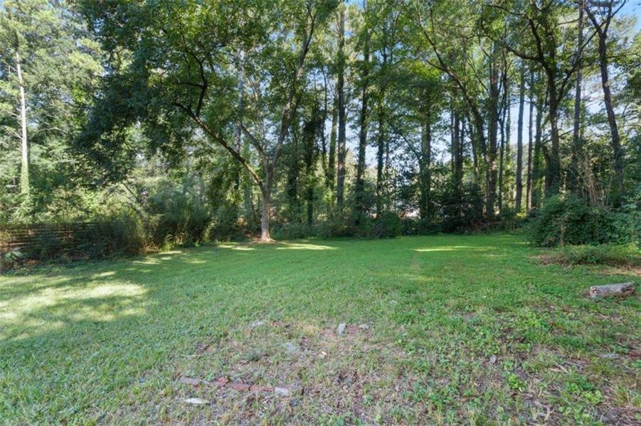 Natural landscape and outdoor views near  in Atlanta (Image 29).