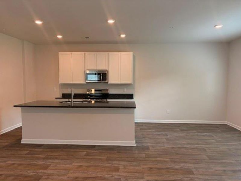 Furnished interior view inside a new home in Carolina, Palmetto (Image 4). Furnished interior view inside a new home in Carolina, Palmetto (Image 4).
