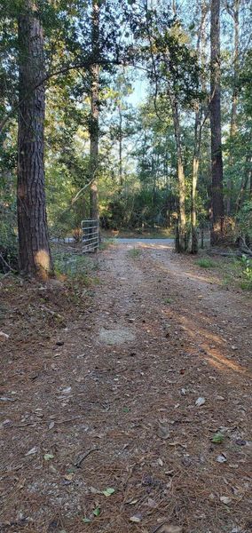 Natural landscape and outdoor views near in Silsbee (Image 12). Natural landscape and outdoor views near in Silsbee (Image 12).